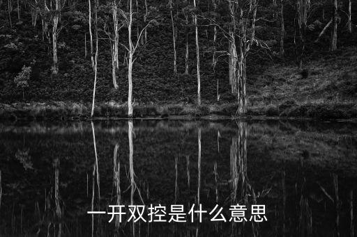一開雙控是什么意思