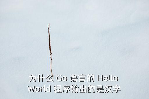 為什么 Go 語言的 Hello World 程序輸出的是漢字