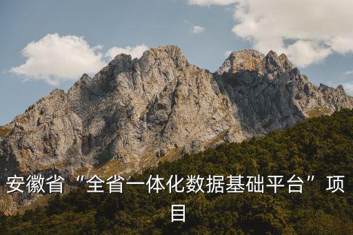 安徽省“全省一體化數(shù)據(jù)基礎(chǔ)平臺”項(xiàng)目