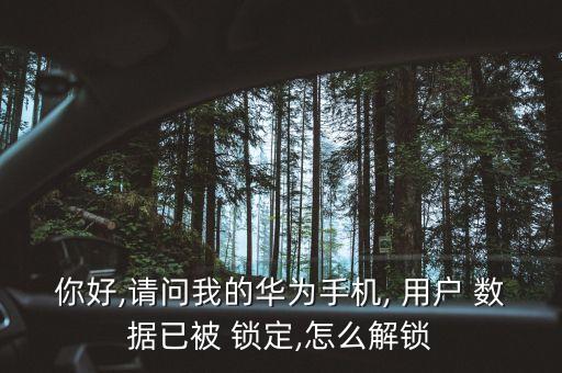 用戶數(shù)據(jù)已鎖定 mate9
