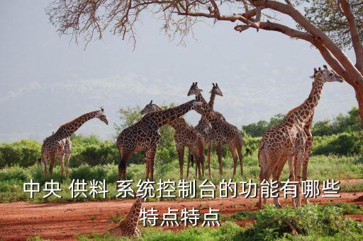 溫州自動化供料系統(tǒng)設(shè)備,養(yǎng)殖場自動化供料設(shè)備
