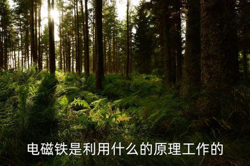 電磁鐵的原理，電磁鐵是利用什么的原理工作的