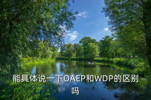 能具體說一下OAEP和WDP的區(qū)別嗎