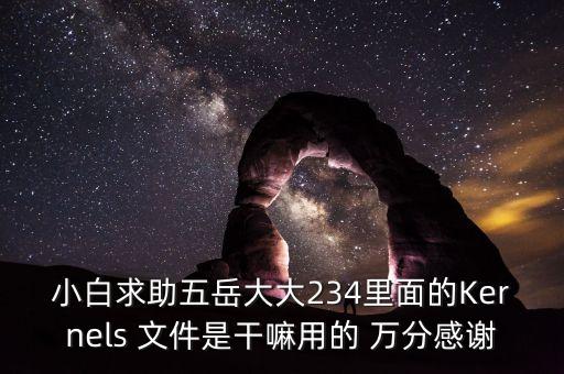 kernels，小白求助五岳大大234里面的Kernels 文件是干嘛用的 萬(wàn)分感謝