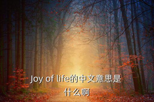 Joy of life的中文意思是什么啊