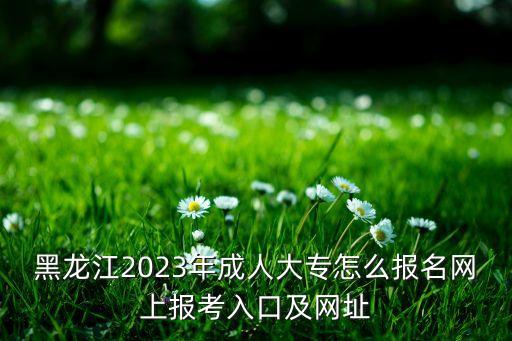 黑龍江2023年成人大專怎么報名網(wǎng)上報考入口及網(wǎng)址