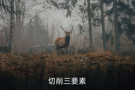 切削三要素