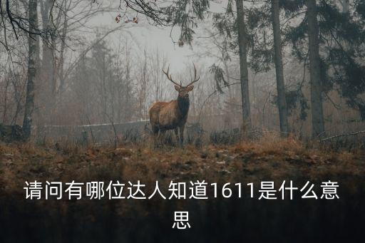 請問有哪位達人知道1611是什么意思