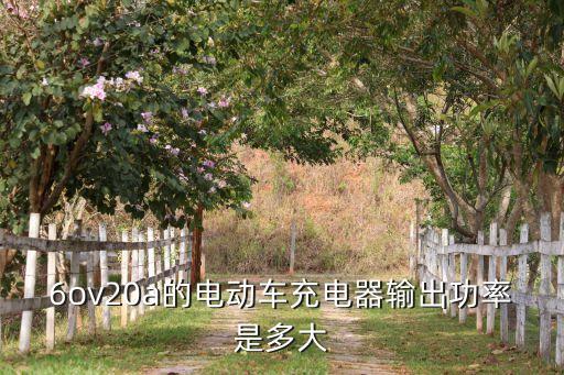 6ov20a的電動車充電器輸出功率是多大