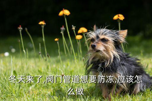 冬天來了,閥門管道想要防凍,應(yīng)該怎么做