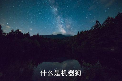 機(jī)器狗，關(guān)于什么是機(jī)器狗
