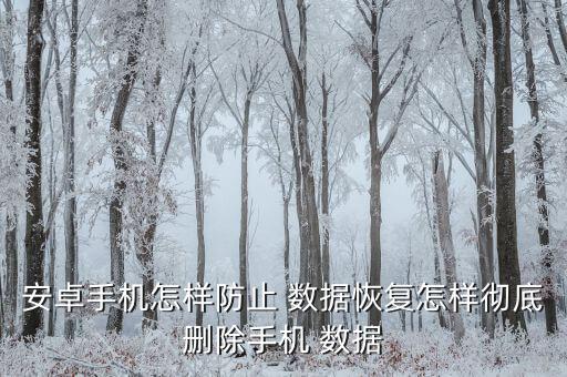 安卓手機(jī)怎樣防止 數(shù)據(jù)恢復(fù)怎樣徹底刪除手機(jī) 數(shù)據(jù)