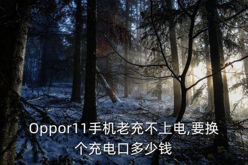 Oppor11手機(jī)老充不上電,要換個(gè)充電口多少錢