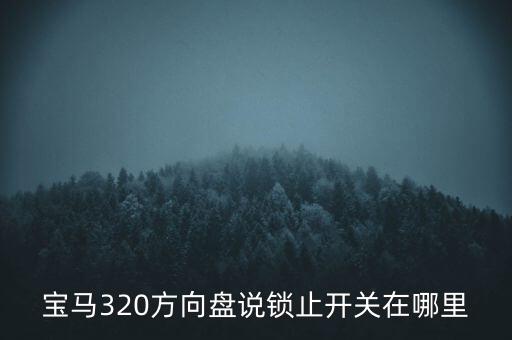 寶馬320方向盤說鎖止開關(guān)在哪里