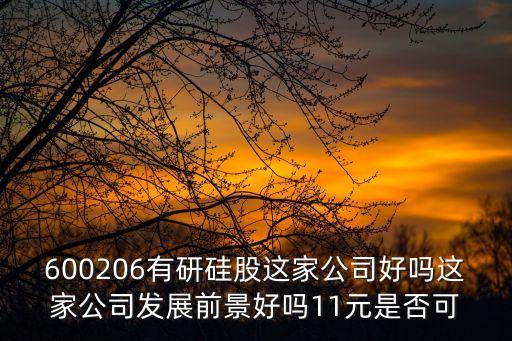 600206有研硅股這家公司好嗎這家公司發(fā)展前景好嗎11元是否可