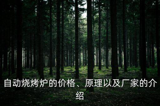 自動(dòng)燒烤爐的價(jià)格、原理以及廠家的介紹