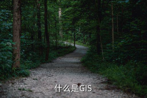 什么是GIS