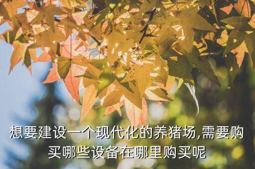 想要建設(shè)一個(gè)現(xiàn)代化的養(yǎng)豬場(chǎng),需要購買哪些設(shè)備在哪里購買呢