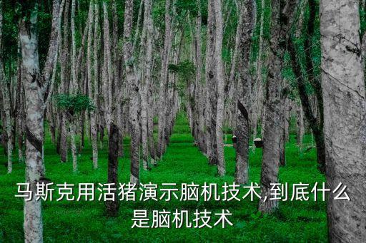 馬斯克用活豬演示腦機(jī)技術(shù),到底什么是腦機(jī)技術(shù)