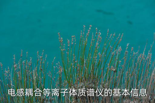 電感耦合等離子體質(zhì)譜儀，電感耦合等離子體質(zhì)譜的介紹
