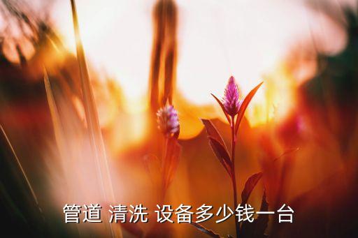 管道 清洗 設(shè)備多少錢(qián)一臺(tái)