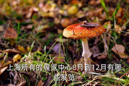 上海所有的展覽中心8月到12月有哪些展覽