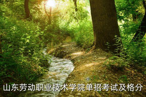山東勞動職業(yè)技術(shù)學院單招考試及格分