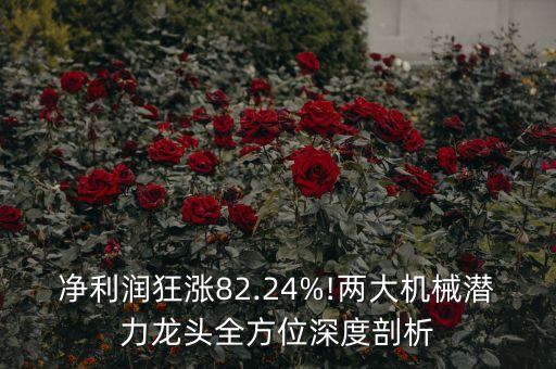 2021自動(dòng)化公司排名,惠州同興自動(dòng)化怎么樣