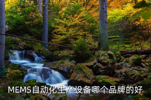 MEMS自動化生產(chǎn)設(shè)備哪個品牌的好