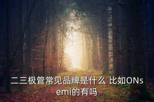 onsemi，臺灣網(wǎng)站上安森美公司的英文名稱是什么公司電子類
