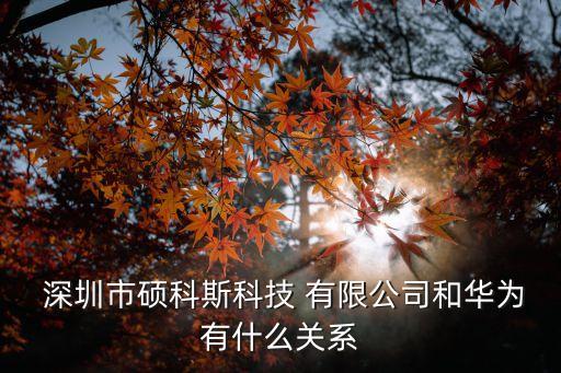 深圳市易視自動化有限公司