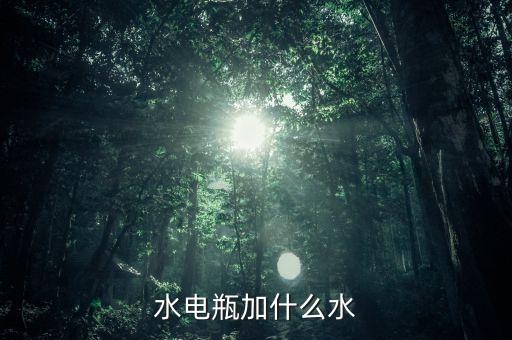 水電瓶加什么水