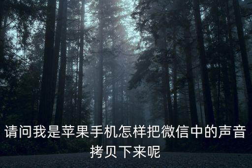 請(qǐng)問我是蘋果手機(jī)怎樣把微信中的聲音拷貝下來呢