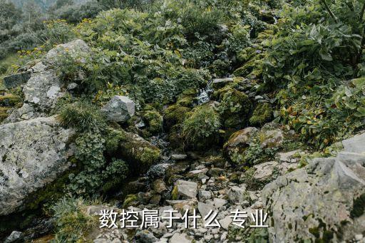  數(shù)控屬于什么 專業(yè)