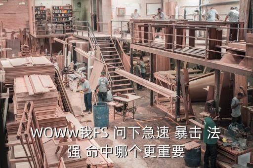 WOWw我FS 問(wèn)下急速 暴擊 法強(qiáng) 命中哪個(gè)更重要