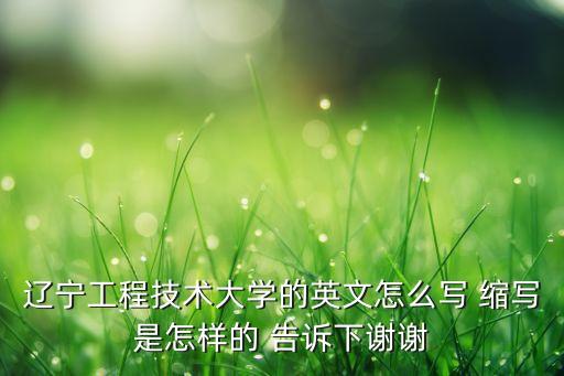 lntu，工程技術(shù)系的英文縮寫