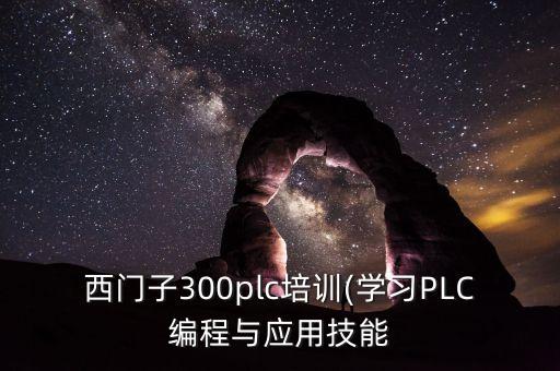 東營(yíng)電氣自動(dòng)化plc培訓(xùn),水電工哪些培訓(xùn)班有空?