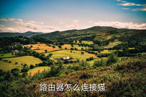 路由器怎么連接貓