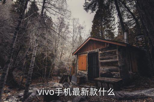 vivo手機(jī)最新款什么