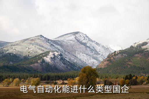 電氣自動化控制有限公司,電氣自動化怎么搞?看這里!