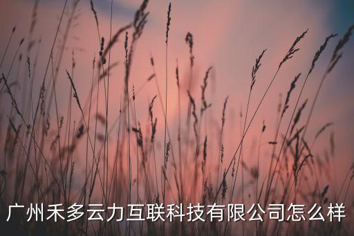 廣州禾多云力互聯(lián)科技有限公司怎么樣
