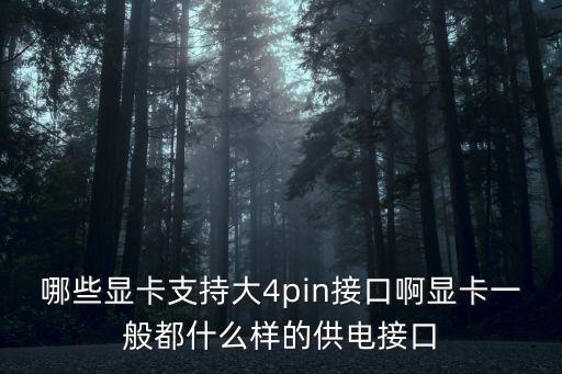 哪些顯卡支持大4pin接口啊顯卡一般都什么樣的供電接口