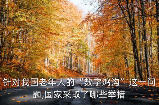 針對(duì)我國(guó)老年人的“數(shù)字鴻溝”這一問(wèn)題,國(guó)家采取了哪些舉措