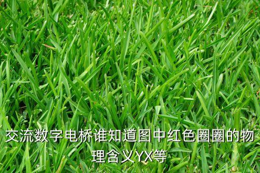 數(shù)字電橋，交流數(shù)字電橋誰知道圖中紅色圈圈的物理含義YX等