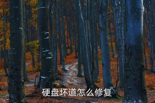 硬盤壞道怎么修復(fù)