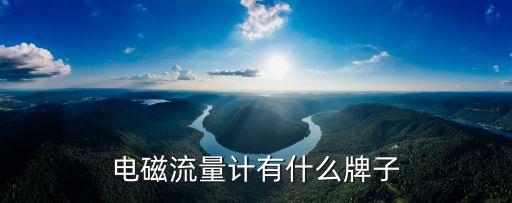 電磁流量計有什么牌子