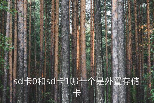 sd卡0和sd卡1哪一個是外置存儲卡