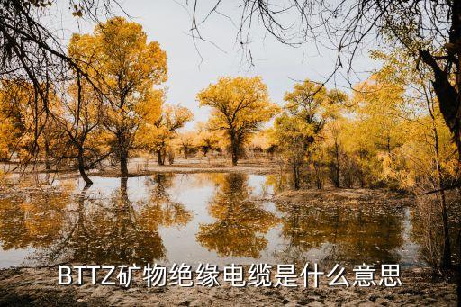 bttz，干線系統(tǒng)圖里BTTZ表示什么