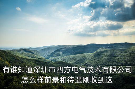 有誰(shuí)知道深圳市四方電氣技術(shù)有限公司怎么樣前景和待遇剛收到這