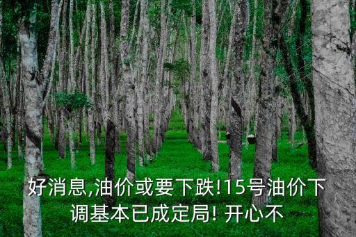 開心二手車網(wǎng),上海開心二手車交易市場